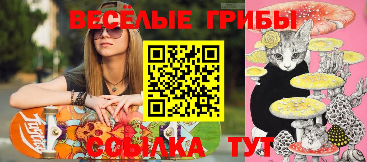 Новосибирск  Псилоцибиновые грибы Psilocybe  Вход с VPN 