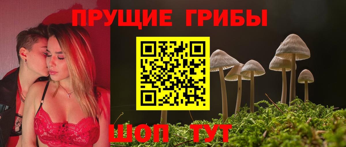 Псилоцибиновые грибы мицелий Новосибирск
